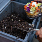 Man composting organic remains in home composter – Buenos Aires – Argentina