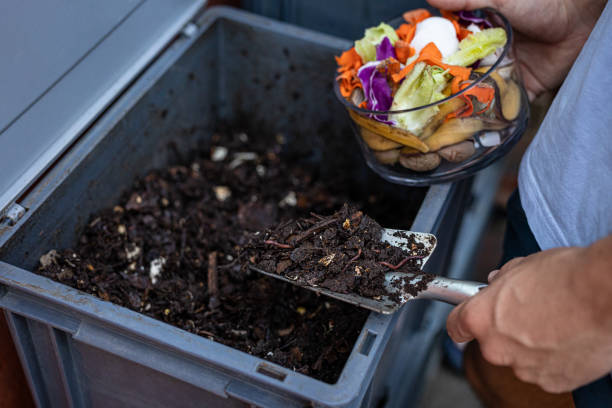 The Benefits of Composting: Turning Food Waste into Nutrient-Rich Soil