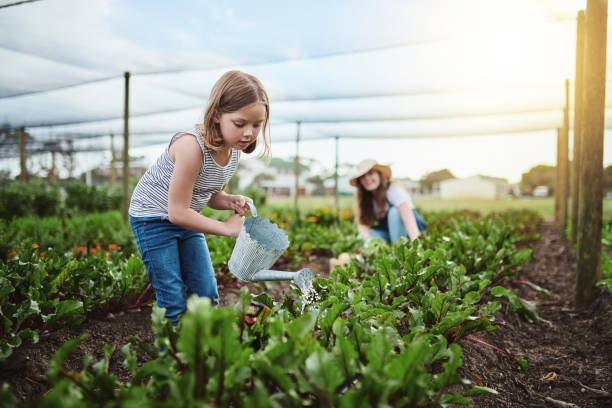 Sustainable Parenting: Green Tips and Products for Eco-Conscious Families
