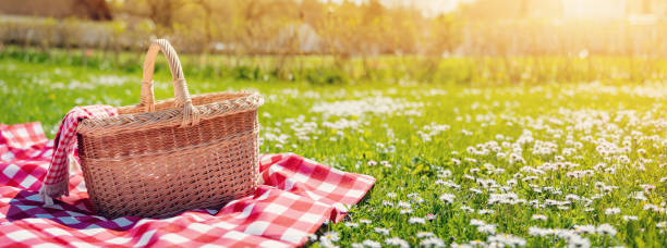Picnic Tips for Families