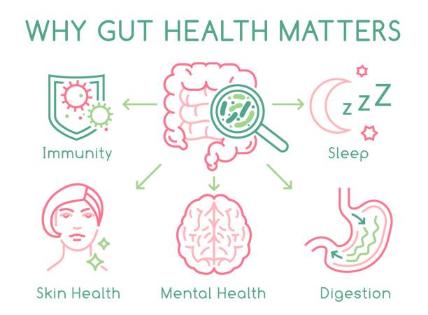 Fruits and Vegetables for Gut Health: How a Healthy Microbiome Supports Mental Wellbeing