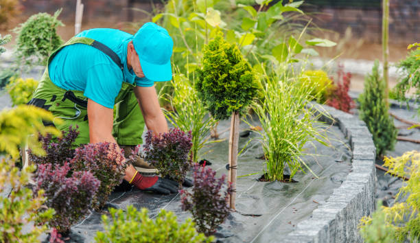 Eco-Friendly Gardening: Sustainable Practices for a Green Thumb
