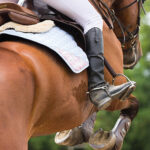 Best Horseback Riding Accessories