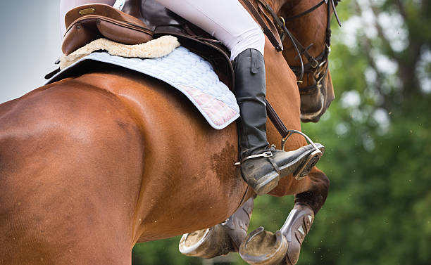 Best Horseback Riding Accessories