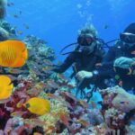 Best-Scuba-Diving-Accessories