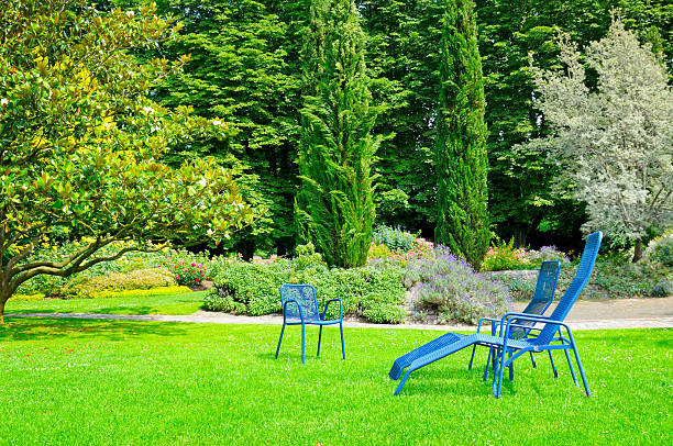 Tips for Building Shade Structures in Your Yard