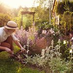 10 Best Gardening Gift Baskets for Outdoor Lovers Gardening woman gifts