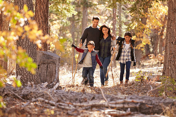 10 Best Hiking Gift Baskets for Outdoor Adventurers